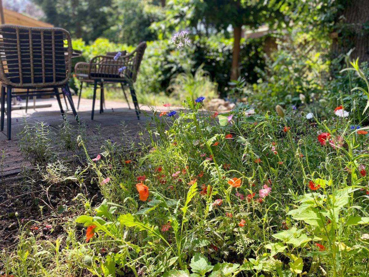 Huisje Aan De Bosrand - Veluwe Epe Exteriör bild