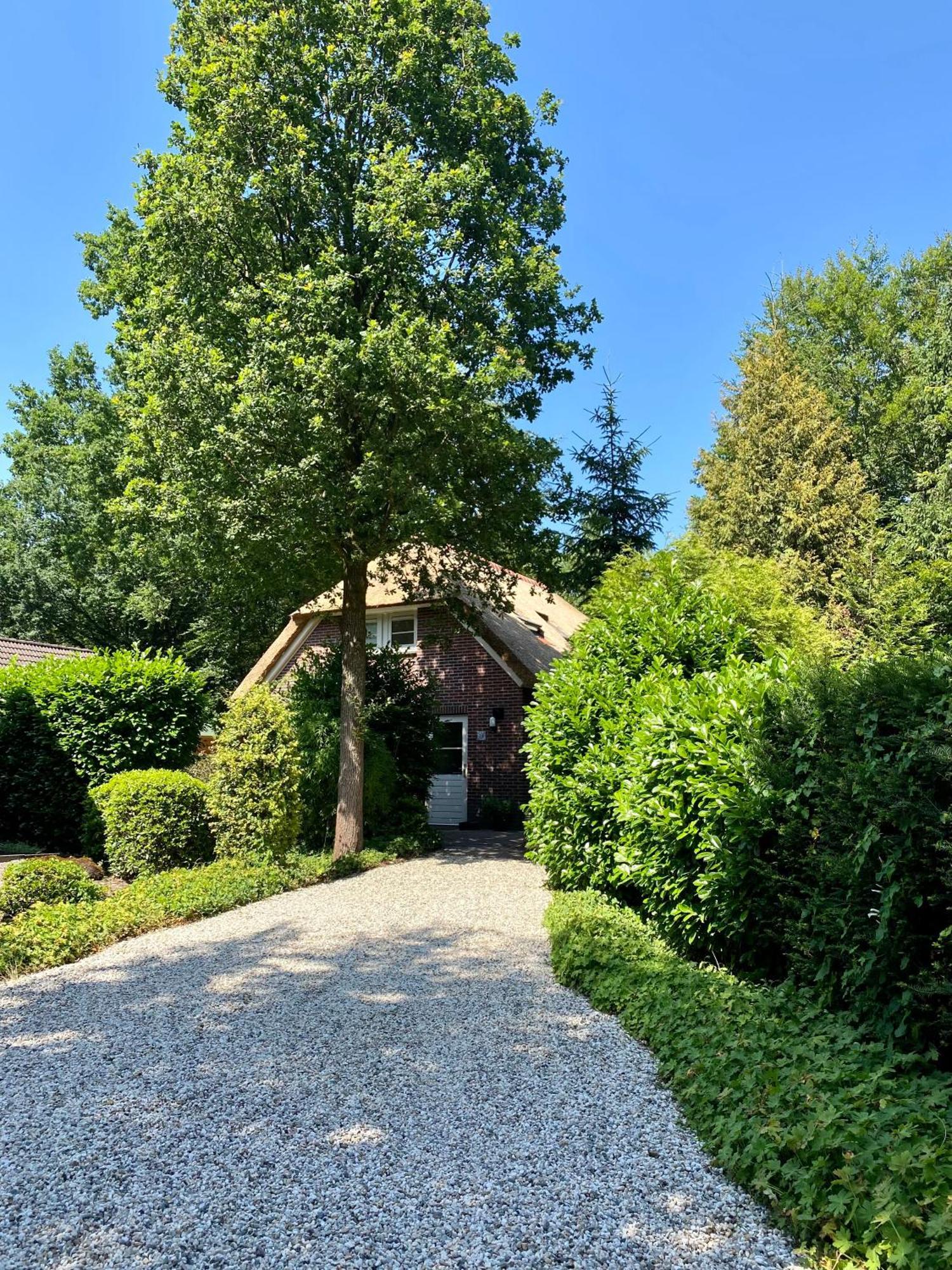 Huisje Aan De Bosrand - Veluwe Epe Exteriör bild